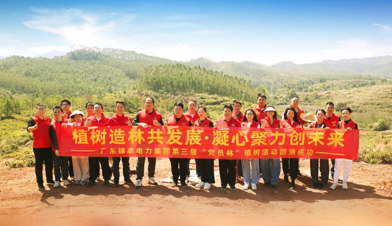 植树造林共发展,凝心聚力创未来!锦泰电力集团以行动诠释绿色担当